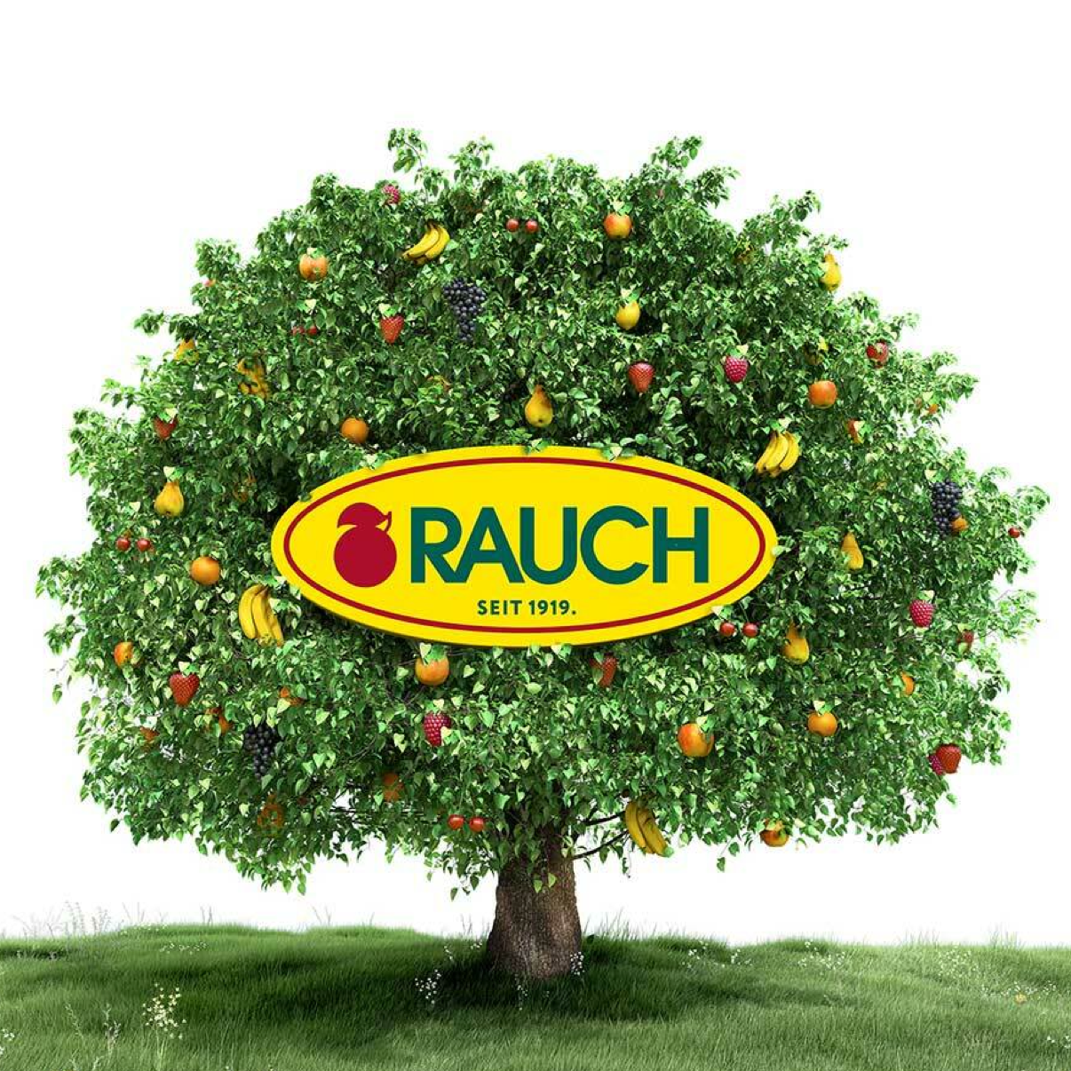 Rauch Bundle